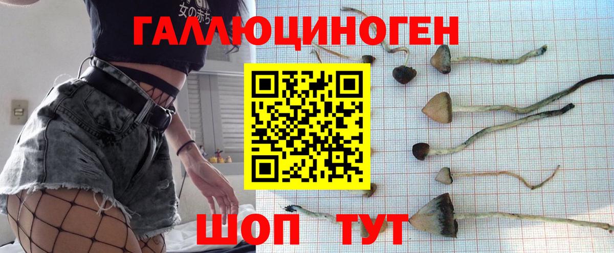 Выкса  Галлюциногенные грибы мухоморы  Вход с VPN 